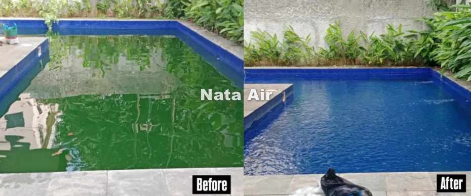 Biaya Perawatan Kolam Renang