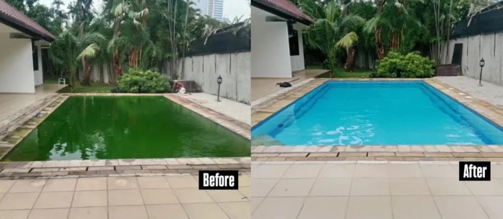 Jasa Perawatan Kolam Renang Cilandak
